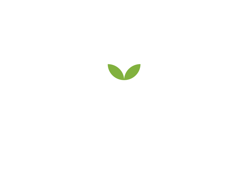 7-ERRIGORA.png